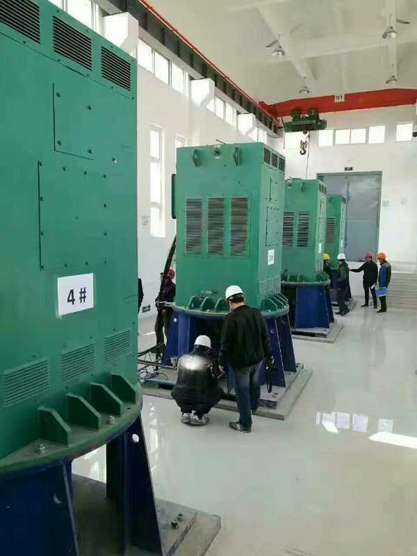 Y5004-2某污水处理厂使用我厂的立式高压电机安装现场
