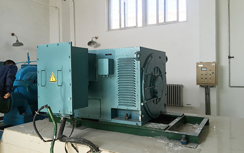 Y5004-2某水电站工程主水泵使用我公司高压电机