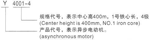 西安泰富西玛Y系列(H355-1000)高压Y5004-2三相异步电机型号说明