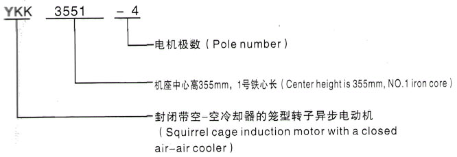 YKK系列(H355-1000)高压Y5004-2三相异步电机西安泰富西玛电机型号说明